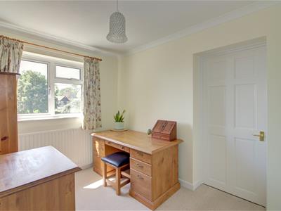 Picture 13